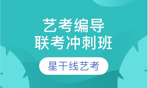 艺考编导专业联考66天冲刺班