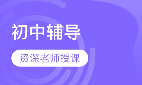 初中辅导