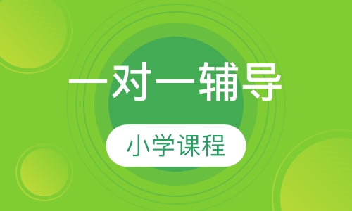 小学课程一对一辅导