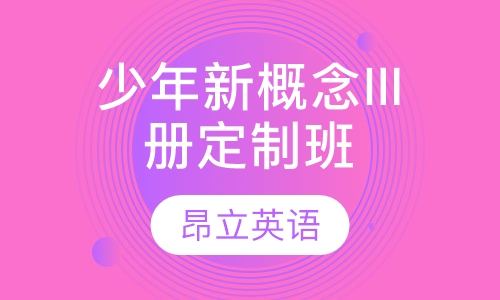 少年新概念III册定制班