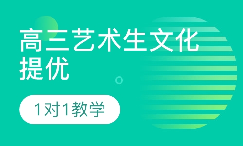 高三艺术生文化提优