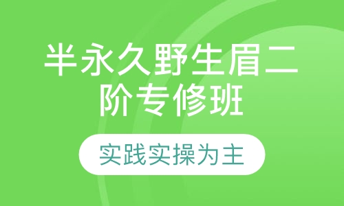 半永久野生眉二阶专修班