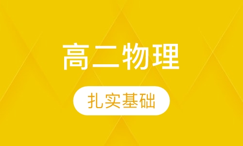 高二物理特色辅导课程