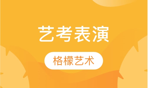 艺考表演