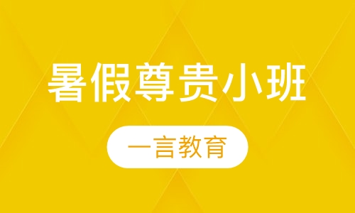 暑假辅导尊贵小班