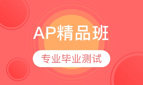 AP课程精品班