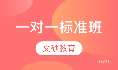 一对一标准班