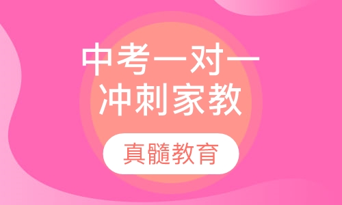 中考一对一冲刺家教