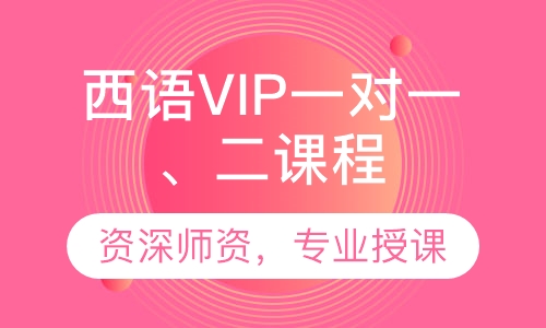西语VIP一对一、二课程