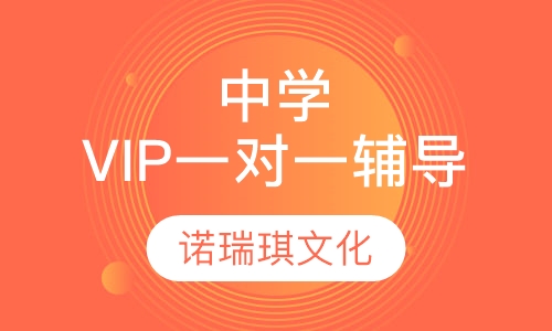 中学VIP一对一辅导