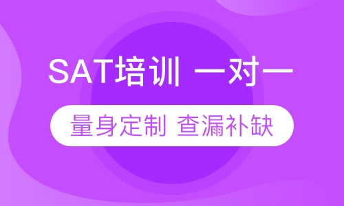 SAT 一对一 培训