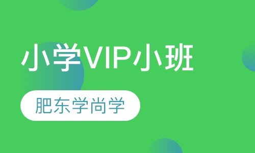 小学VIP小班