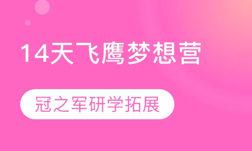 14天飞鹰梦想营