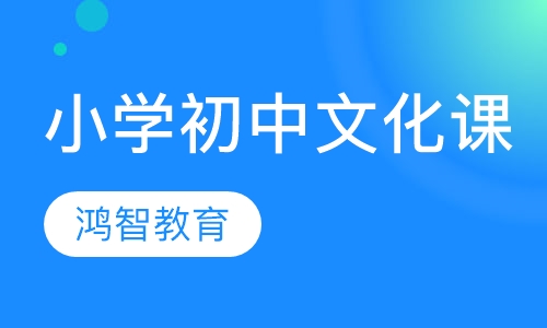 小学初中文化课辅导