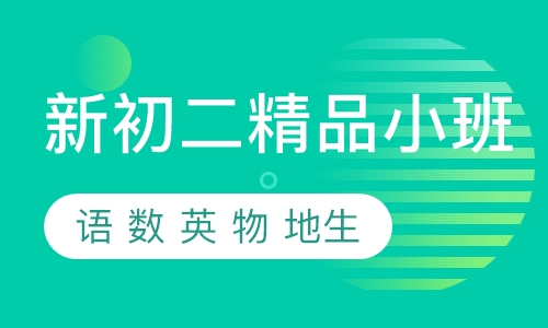 新初二寒假精品小班课