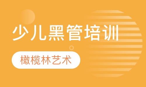 少儿黑管培训