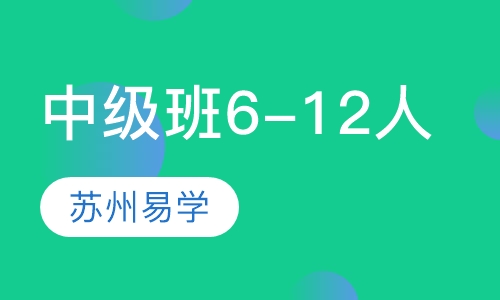 中级班（6-12人）