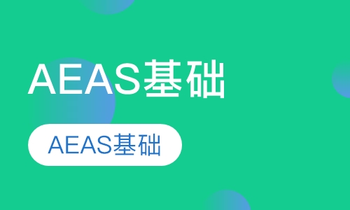 AEAS基础课程一对一