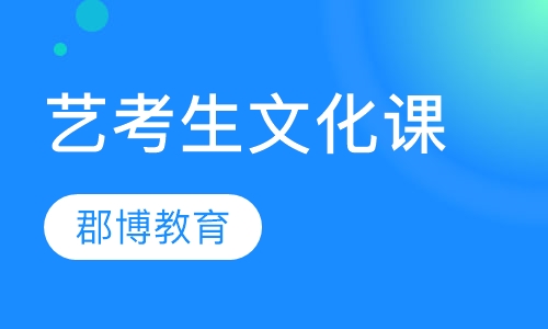 艺考生文化课辅导