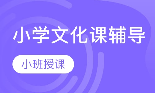 小学文化课辅导