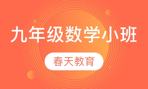 九年级(初三)数学小班辅导课程