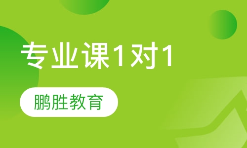 专业课1对1