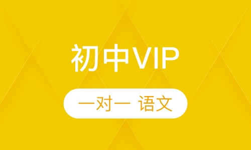 初中VIP一对一语文