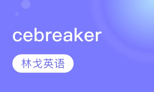 入门级Icebreaker(0)