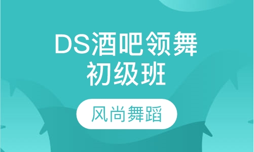 DS酒吧领舞初级班