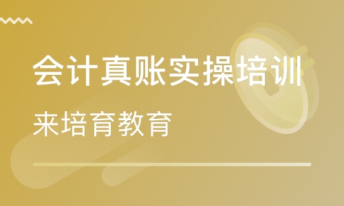 录播课+直播课厚街哪里有会计初级考证与真账实操培训?