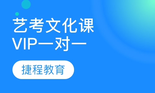 艺考生文化课VIP一对一辅导