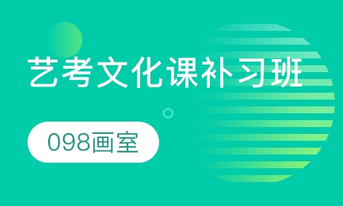 艺考文化课补习班