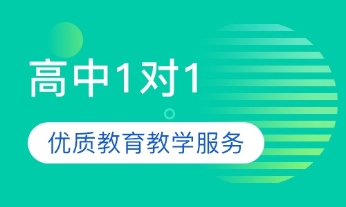 直播课高中1对1个性化辅导