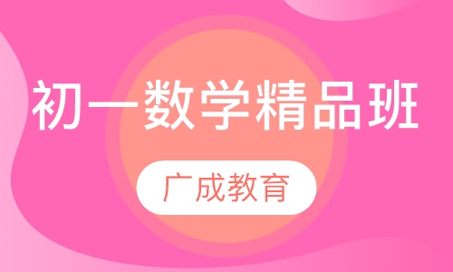 初一数学精品班