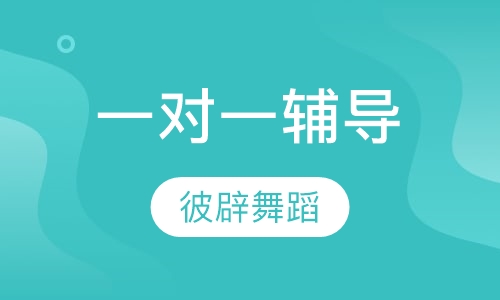 一对一辅导