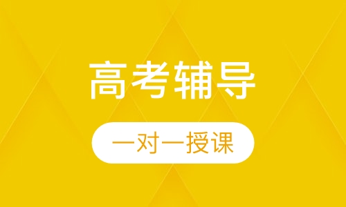 高考一对一辅导