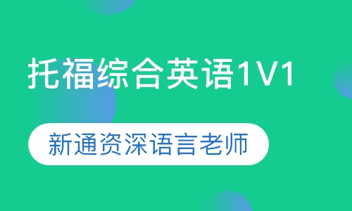 寒假班-托福综合英语1V1