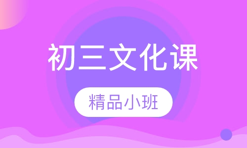 初三文化课精品小班