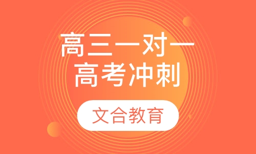 高三一对一针对性高考冲刺