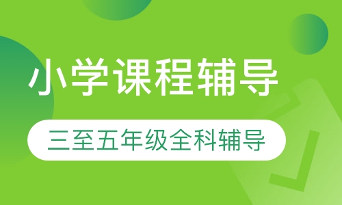小学课程辅导