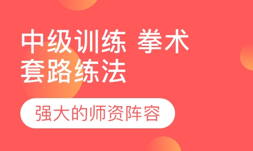 中级训练 拳术套路练法