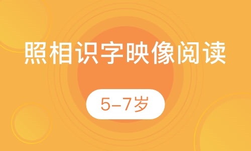 照相识字映像阅读5-7岁