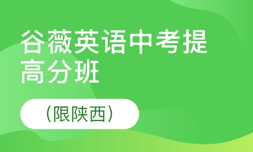 中考提高分班（限陕西） 小班