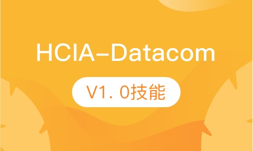 HCIA-Datacom V1. 0技能