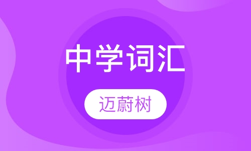 中学词汇
