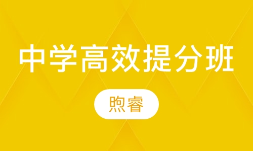 中学高效提分班