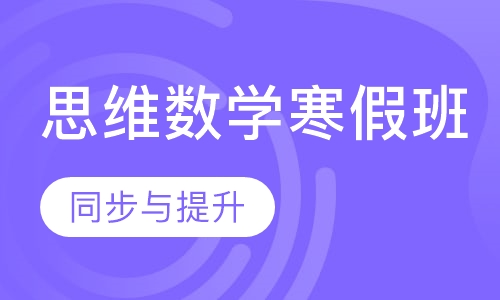 思维数学寒假班