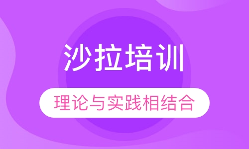 沙拉培训