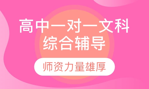 高中一对一文科综合辅导