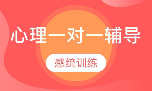 心理一对一辅导